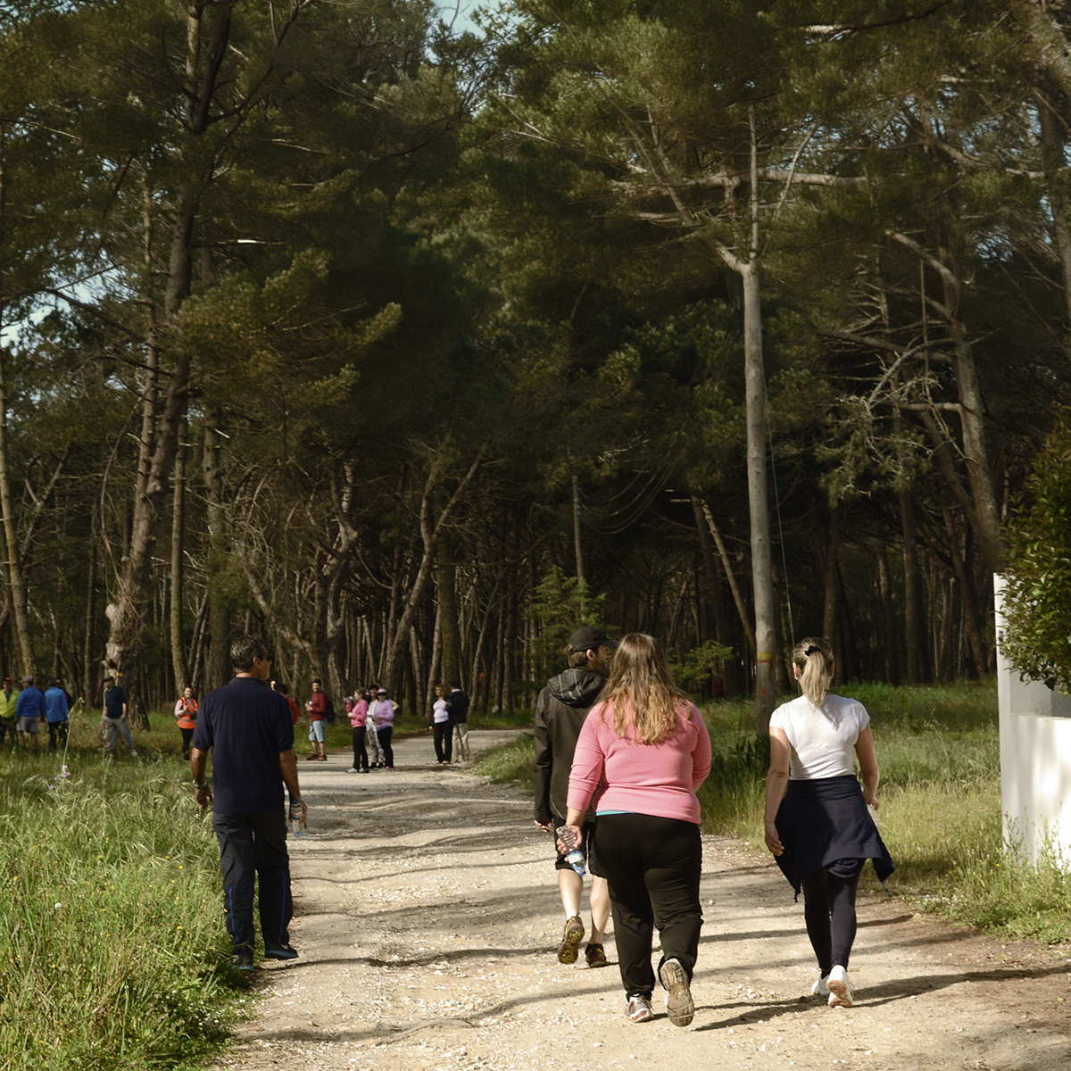 CAMINHADA